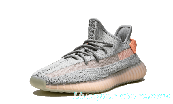 Adidas YEEZY Yeezy Boost 350 V2 Shoes True Form - EG7492 Sneaker WOMEN