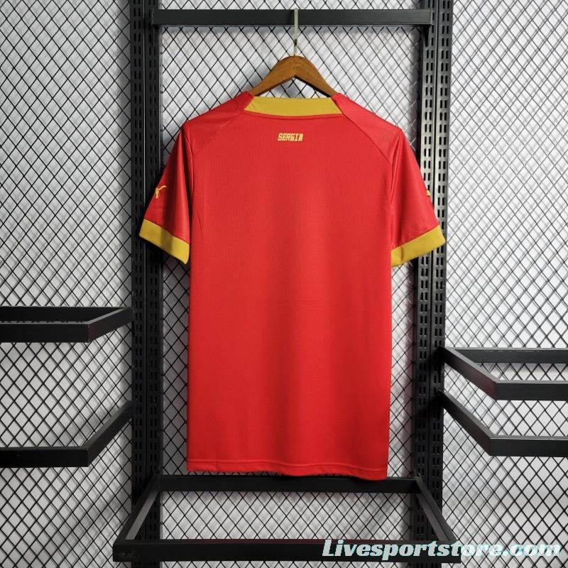 2022 Serbia Home Soccer Jersey Soccer Jersey